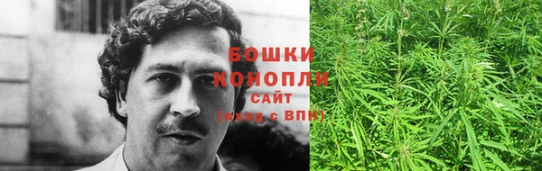 амф Верея