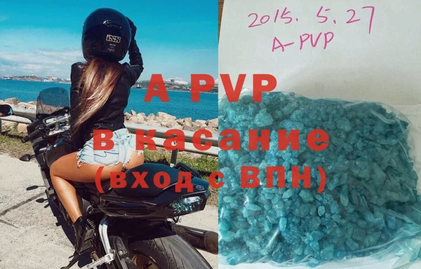 амф Верея