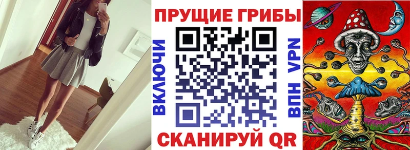 Галлюциногенные грибы прущие грибы  Дивногорск 
