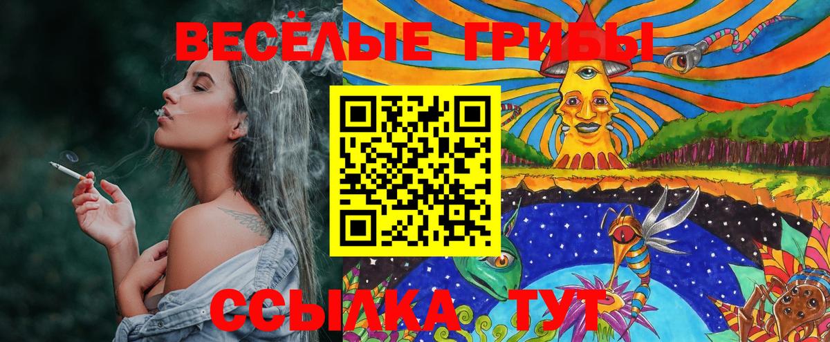 Галлюциногенные грибы GOLDEN TEACHER  Вход с VPN  Дивногорск 